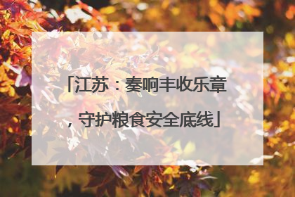 江苏：奏响丰收乐章，守护粮食安全底线