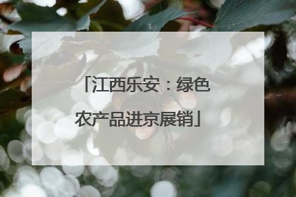 江西乐安：绿色农产品进京展销