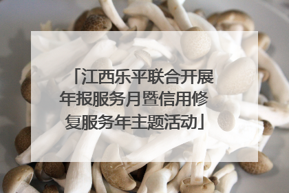 江西乐平联合开展年报服务月暨信用修复服务年主题活动