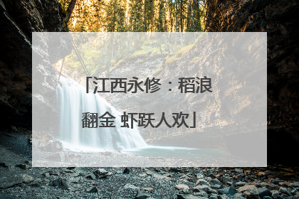 江西永修：稻浪翻金 虾跃人欢