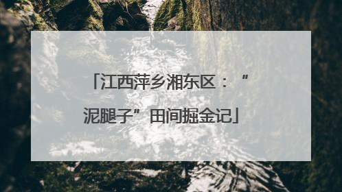 江西萍乡湘东区：“泥腿子”田间掘金记