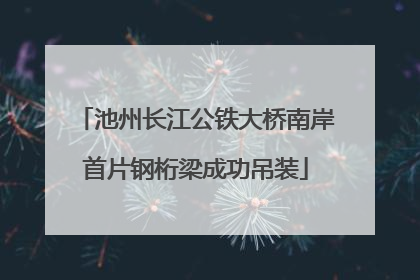 池州长江公铁大桥南岸首片钢桁梁成功吊装