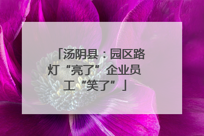 汤阴县：园区路灯“亮了”企业员工“笑了”