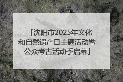沈阳市2025年文化和自然遗产日主题活动暨公众考古活动季启幕