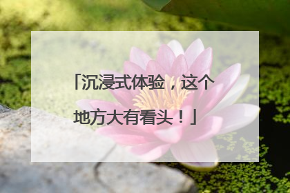 沉浸式体验，这个地方大有看头！
