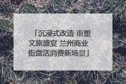 沉浸式改造 重塑文旅盛宴 兰州商业街盘活消费新场景