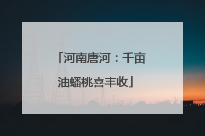 河南唐河：千亩油蟠桃喜丰收