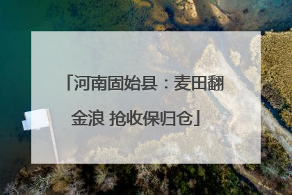 河南固始县：麦田翻金浪 抢收保归仓