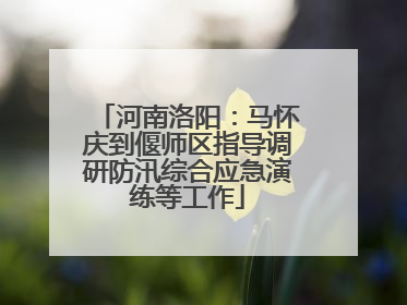 河南洛阳：马怀庆到偃师区指导调研防汛综合应急演练等工作