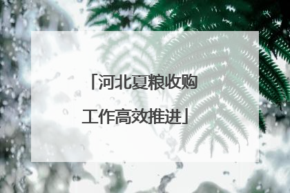 河北夏粮收购工作高效推进