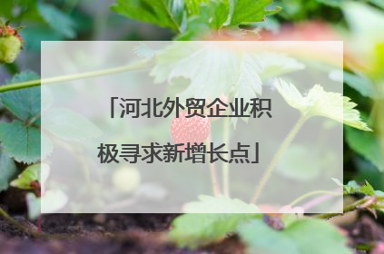 河北外贸企业积极寻求新增长点