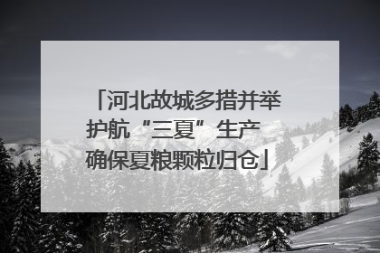 河北故城多措并举护航“三夏”生产 确保夏粮颗粒归仓