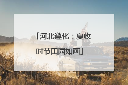 河北遵化：夏收时节田园如画