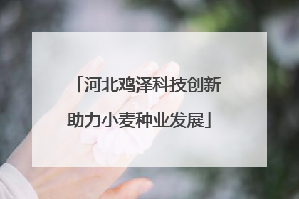 河北鸡泽科技创新助力小麦种业发展