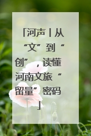 河声丨从“文”到“创”，读懂河南文旅“留量”密码