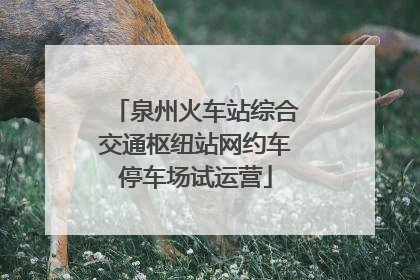 泉州火车站综合交通枢纽站网约车停车场试运营