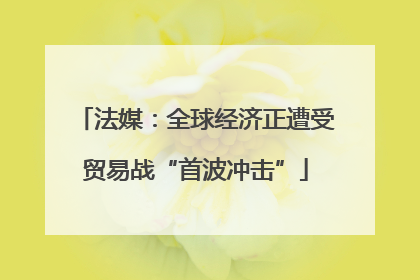 法媒：全球经济正遭受贸易战“首波冲击”