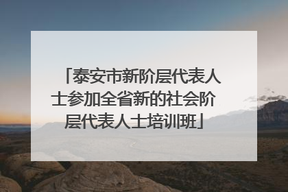 泰安市新阶层代表人士参加全省新的社会阶层代表人士培训班