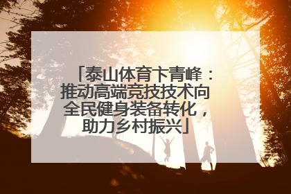 泰山体育卞青峰：推动高端竞技技术向全民健身装备转化，助力乡村振兴