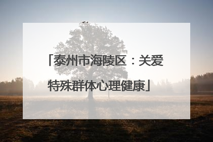 泰州市海陵区：关爱特殊群体心理健康