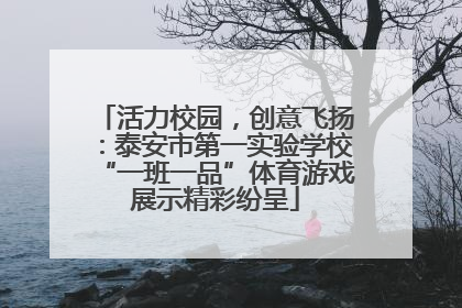 活力校园，创意飞扬：泰安市第一实验学校“一班一品”体育游戏展示精彩纷呈