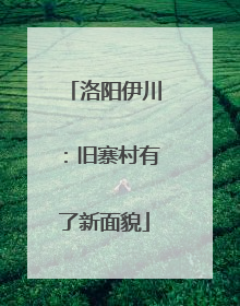 洛阳伊川：旧寨村有了新面貌
