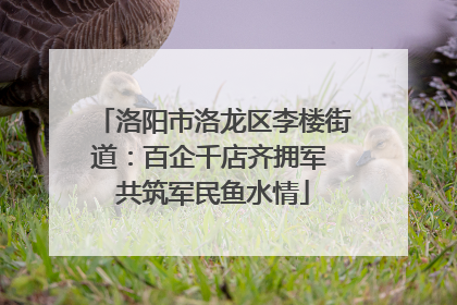 洛阳市洛龙区李楼街道：百企千店齐拥军 共筑军民鱼水情