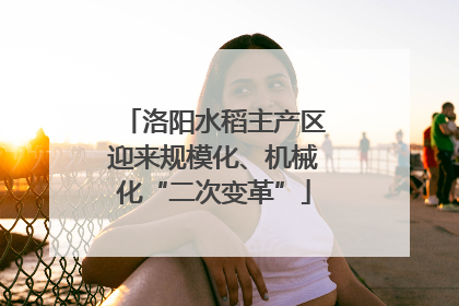 洛阳水稻主产区迎来规模化、机械化“二次变革”