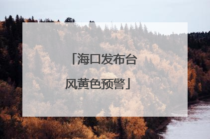 海口发布台风黄色预警