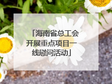海南省总工会开展重点项目一线慰问活动