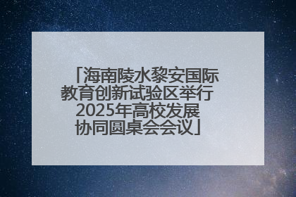 海南陵水黎安国际教育创新试验区举行2025年高校发展协同圆桌会会议