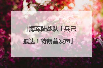 海军陆战队士兵已抵达！特朗普发声