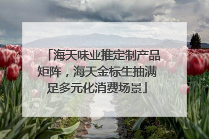 海天味业推定制产品矩阵，海天金标生抽满足多元化消费场景