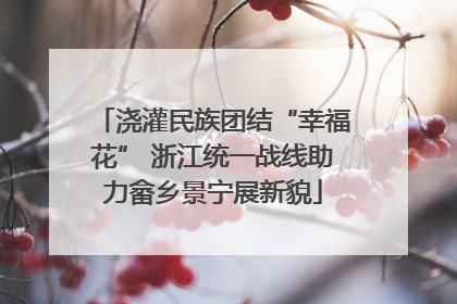 浇灌民族团结“幸福花” 浙江统一战线助力畲乡景宁展新貌