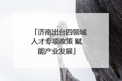 济南出台四领域人才专项政策 赋能产业发展