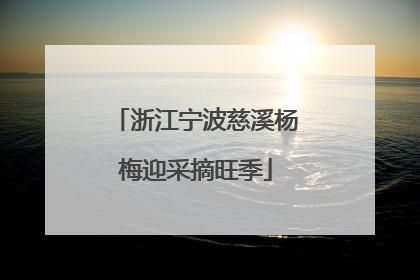 浙江宁波慈溪杨梅迎采摘旺季