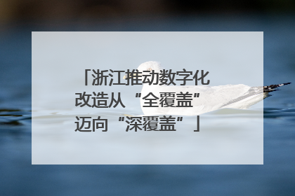 浙江推动数字化改造从“全覆盖”迈向“深覆盖”