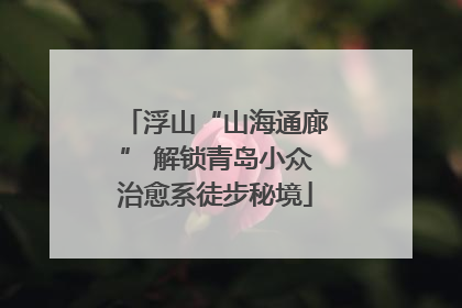 浮山“山海通廊” 解锁青岛小众治愈系徒步秘境