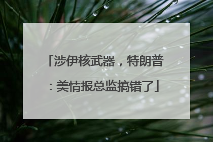 涉伊核武器，特朗普：美情报总监搞错了