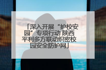 深入开展“护校安园”专项行动 陕西平利多方联动织密校园安全防护网