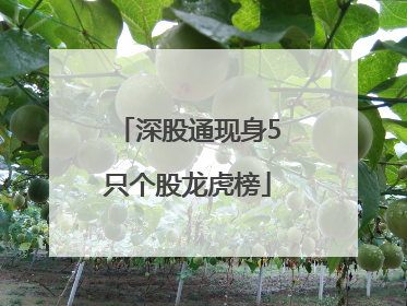 深股通现身5只个股龙虎榜