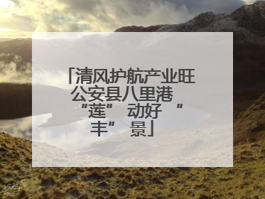 清风护航产业旺 公安县八里港 “莲” 动好 “丰” 景