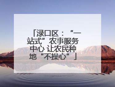 渌口区：“一站式”农事服务中心 让农民种地“不操心”
