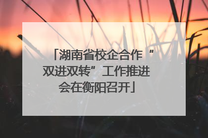 湖南省校企合作“双进双转”工作推进会在衡阳召开