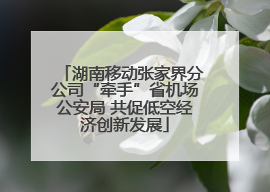 湖南移动张家界分公司“牵手”省机场公安局 共促低空经济创新发展