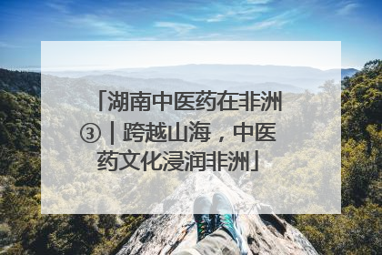 湖南中医药在非洲③｜跨越山海，中医药文化浸润非洲
