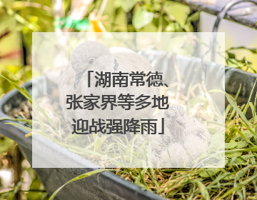 湖南常德、张家界等多地迎战强降雨