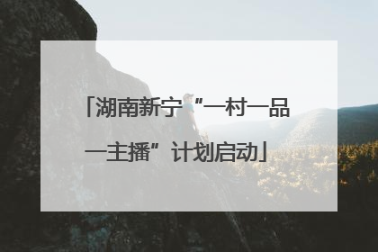 湖南新宁“一村一品一主播”计划启动