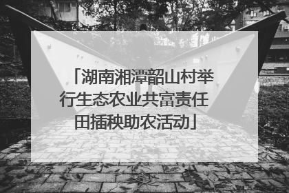 湖南湘潭韶山村举行生态农业共富责任田插秧助农活动
