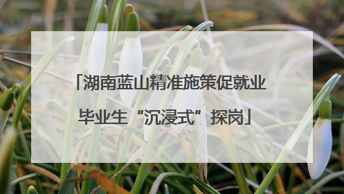 湖南蓝山精准施策促就业 毕业生“沉浸式”探岗
